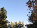 40M and 20M Bird Yagi suspended from the trees, pointing east - this antenna made more than half the Q's.  Look carefully - you can see the open wire feeds and the 1:9 xfmrs up there.  This antenna was created with Eznec and runs just like the model.     